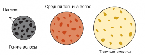 b13774a81f8e3b94581a00e28e54739f.png